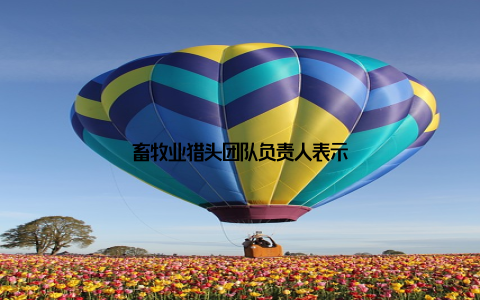 畜牧业猎头团队负责人表示