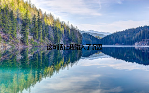 这句话让我陷入了沉思