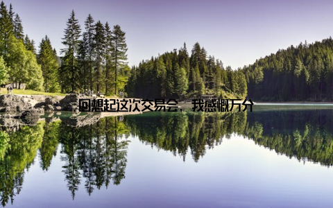 回想起这次交易会, 我感慨万分