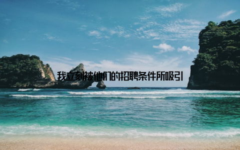 我立刻被他们的招聘条件所吸引