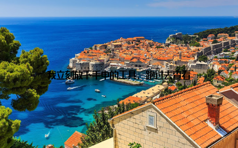 我立刻放下手中的工具, 跑过去查看