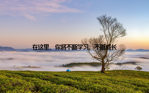 在这里, 你将不断学习, 不断成长