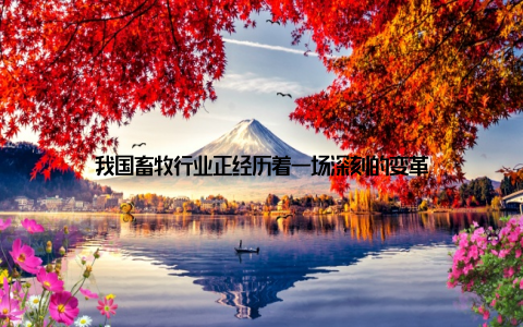 我国畜牧行业正经历着一场深刻的变革