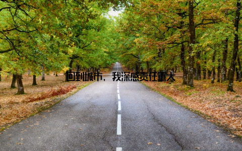 回到城市, 我深感责任重大