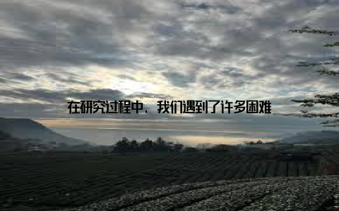 在研究过程中, 我们遇到了许多困难