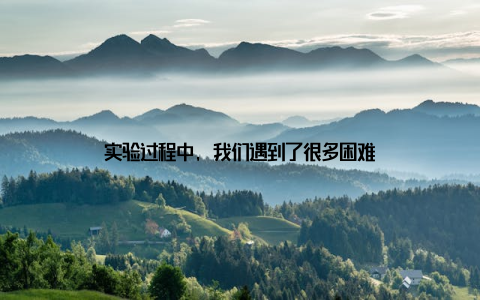 实验过程中, 我们遇到了很多困难