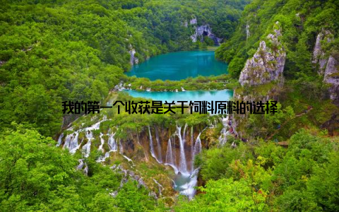 我的第一个收获是关于饲料原料的选择