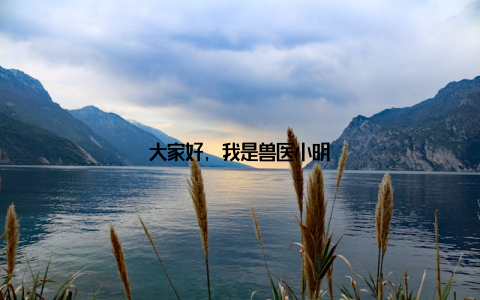 大家好, 我是兽医小明