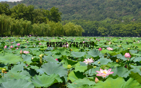 我们强化了技术指导