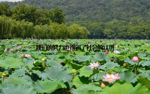 我们的努力也得到了社会的认可