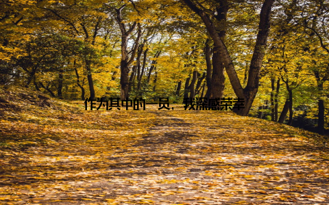 作为其中的一员, 我深感荣幸