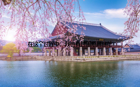 在这个过程中, 我也有过困惑和迷茫