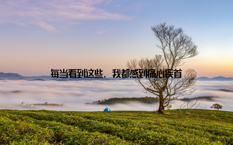 每当看到这些, 我都感到痛心疾首