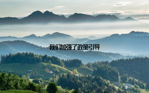 我们加强了政策引导
