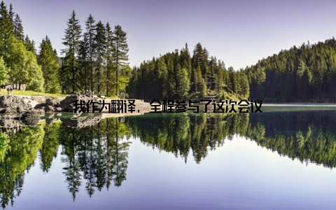 我作为翻译, 全程参与了这次会议