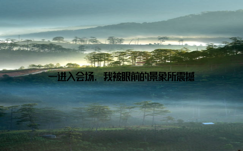 一进入会场, 我被眼前的景象所震撼