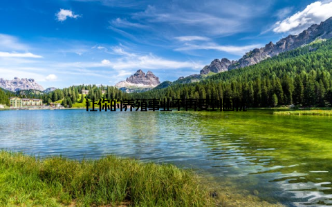 让你的养殖事业不再受到困扰