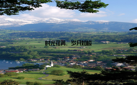 时光荏苒, 岁月如梭