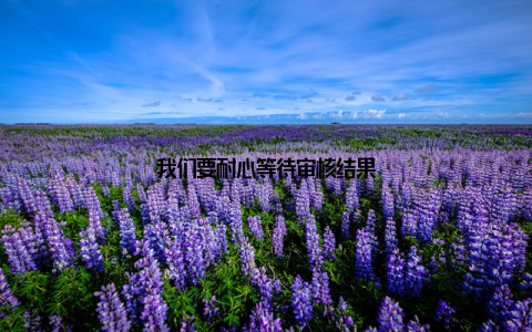 我们要耐心等待审核结果