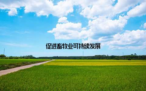 促进畜牧业可持续发展