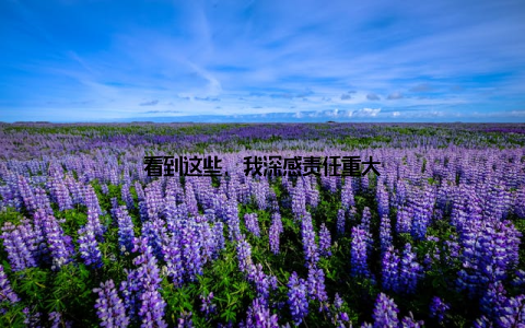 看到这些, 我深感责任重大