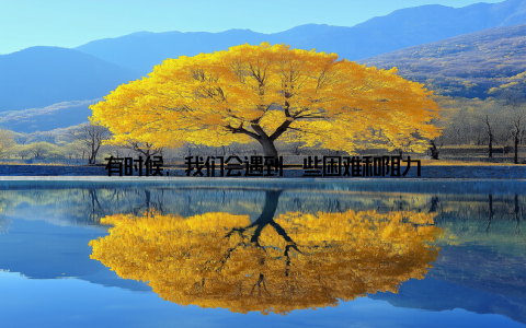 有时候, 我们会遇到一些困难和阻力