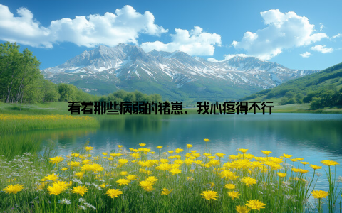 看着那些病弱的猪崽, 我心疼得不行