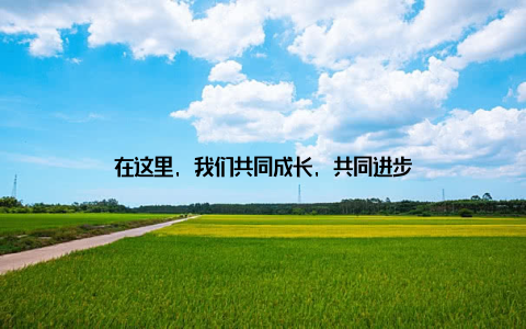 在这里, 我们共同成长, 共同进步