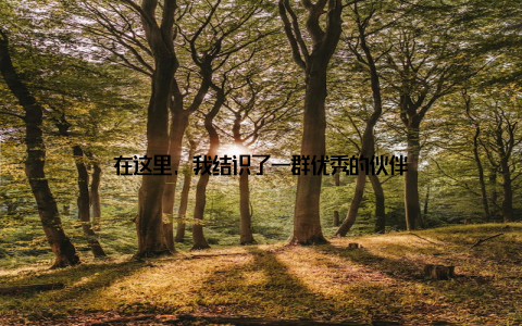 在这里, 我结识了一群优秀的伙伴