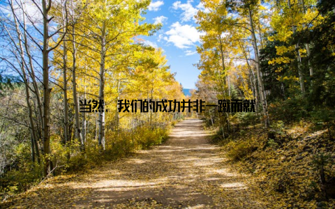 当然, 我们的成功并非一蹴而就