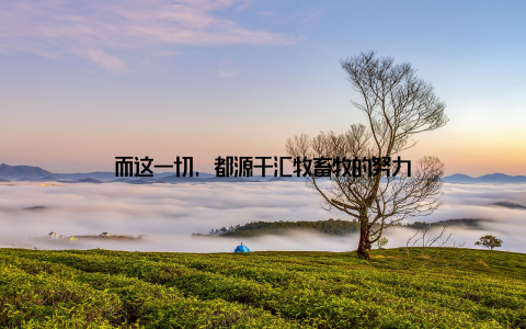 而这一切, 都源于汇牧畜牧的努力