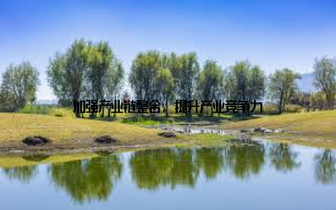 加强产业链整合, 提升产业竞争力