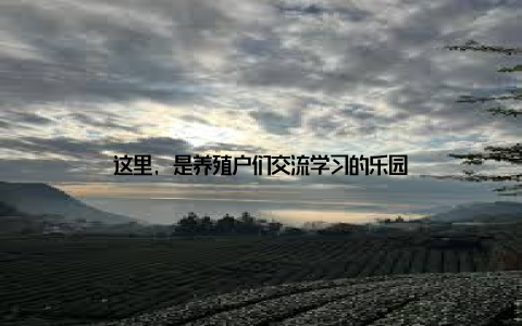 这里, 是养殖户们交流学习的乐园