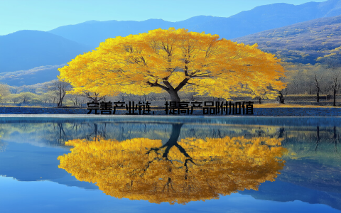 完善产业链, 提高产品附加值