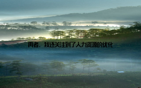 再者, 我还关注到了人力资源的优化