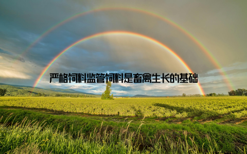 严格饲料监管饲料是畜禽生长的基础
