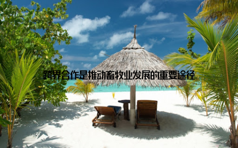 跨界合作是推动畜牧业发展的重要途径