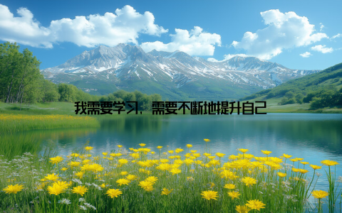 我需要学习, 需要不断地提升自己