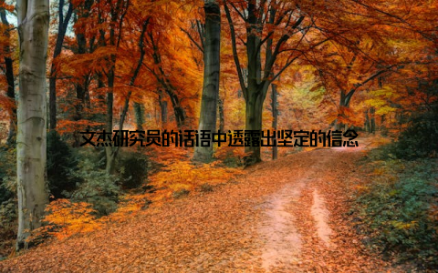 文杰研究员的话语中透露出坚定的信念