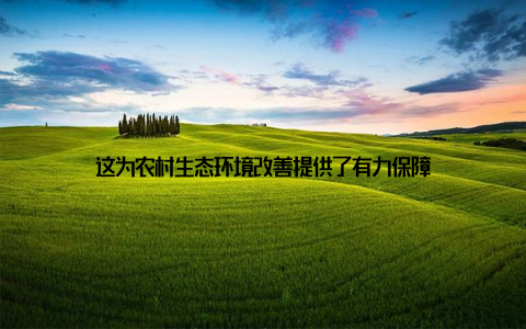 这为农村生态环境改善提供了有力保障