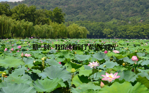 那一刻, 我仿佛看到了希望的曙光