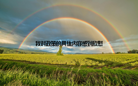 我对政策的具体内容感到欣慰