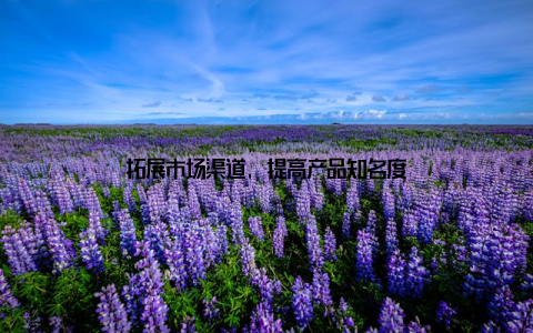 拓展市场渠道, 提高产品知名度