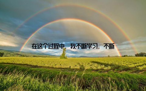 在这个过程中, 我不断学习, 不断