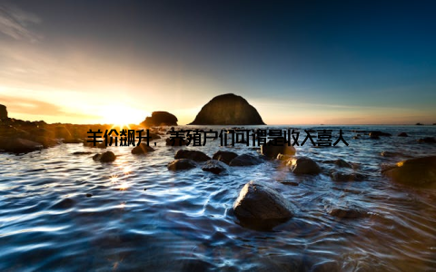 羊价飙升, 养殖户们可谓是收入喜人