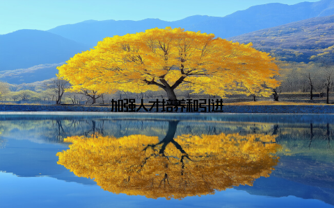 加强人才培养和引进