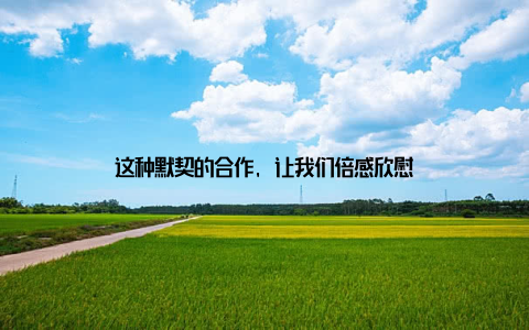 这种默契的合作, 让我们倍感欣慰