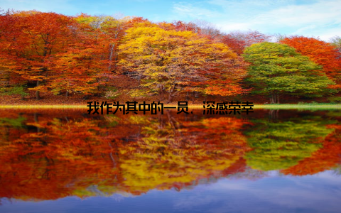 我作为其中的一员, 深感荣幸