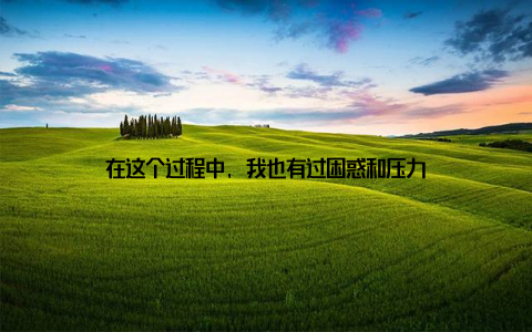 在这个过程中, 我也有过困惑和压力