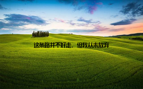 这条路并不好走, 但我从未放弃